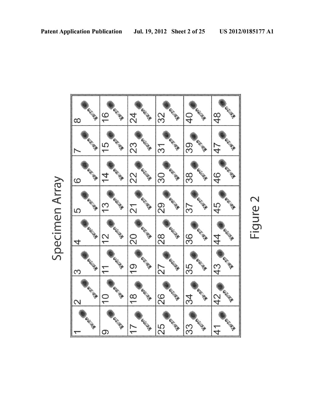 HARNESSING HIGH THROUGHPUT SEQUENCING FOR MULTIPLEXED SPECIMEN ANALYSIS - diagram, schematic, and image 03