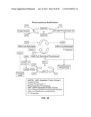 METHODS FOR IDENTIFICATION OF NOVEL PROTEIN DRUG TARGETS AND BIOMARKERS     UTILIZING FUNCTIONAL NETWORKS diagram and image