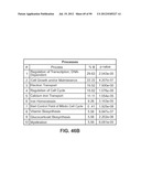 METHODS FOR IDENTIFICATION OF NOVEL PROTEIN DRUG TARGETS AND BIOMARKERS     UTILIZING FUNCTIONAL NETWORKS diagram and image