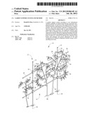 Garden Support System and Method diagram and image