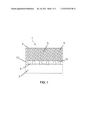 MICROCHANNEL PLATE AND ITS MANUFACTURING METHOD diagram and image