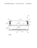 ELECTROPHORETIC DISPLAY DEVICE diagram and image