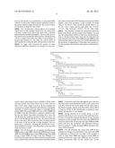 THREE-DIMENSIONAL VIRTUAL WORLD PATTERN POSITIONING USING TEMPLATES diagram and image