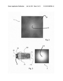 RING LIGHT ILLUMINATOR, BEAM SHAPER AND METHOD FOR ILLUMINATION diagram and image