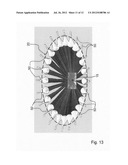 RING LIGHT ILLUMINATOR, BEAM SHAPER AND METHOD FOR ILLUMINATION diagram and image