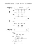 RADIOGRAPHIC IMAGING APPARATUS AND RADIOGRAPHIC IMAGE DETECTOR diagram and image