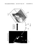 Method and system for analysing tissue from images diagram and image