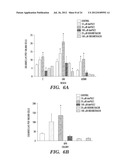 METHODS FOR PROMOTING HEMATOPOIETIC RECONSTITUTION diagram and image