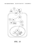 METHODS FOR PROMOTING HEMATOPOIETIC RECONSTITUTION diagram and image