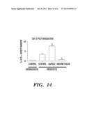 METHODS FOR PROMOTING HEMATOPOIETIC RECONSTITUTION diagram and image