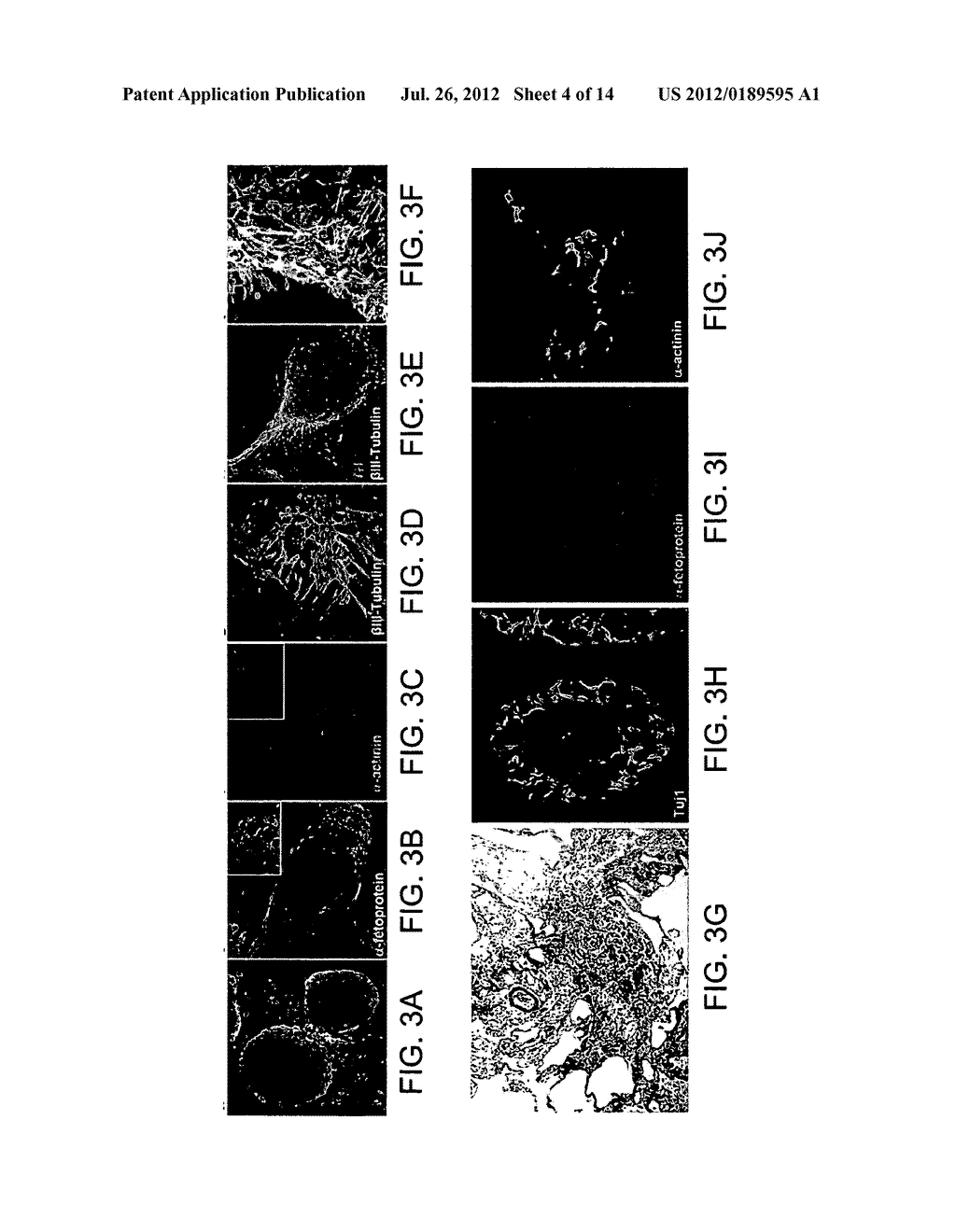 INDUCED PLURIPOTENT STEM CELLS AND METHODS OF USE - diagram, schematic, and image 05