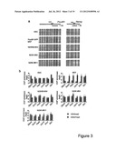 NUCLEAR RECEPTOR AND MUTANT THEREOF AND THE USE OF THE SAME IN THE     REPROGRAMMING OF CELLS diagram and image