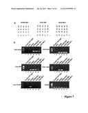 NUCLEAR RECEPTOR AND MUTANT THEREOF AND THE USE OF THE SAME IN THE     REPROGRAMMING OF CELLS diagram and image