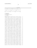 NUCLEAR RECEPTOR AND MUTANT THEREOF AND THE USE OF THE SAME IN THE     REPROGRAMMING OF CELLS diagram and image