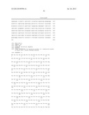 NUCLEAR RECEPTOR AND MUTANT THEREOF AND THE USE OF THE SAME IN THE     REPROGRAMMING OF CELLS diagram and image