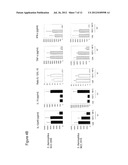 ORAL NUTRITIONAL SUPPLEMENT FOR CHILDREN COMPRISING PROBIOTICS diagram and image