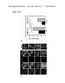 STIM2-MEDIATED CAPACITIVE CALCIUM ENTRY diagram and image