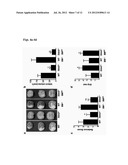 STIM2-MEDIATED CAPACITIVE CALCIUM ENTRY diagram and image