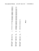 TREATMENT AND PROPHYLAXIS OF AMYLOIDOSIS diagram and image