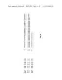 TREATMENT AND PROPHYLAXIS OF AMYLOIDOSIS diagram and image