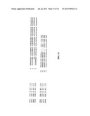 TREATMENT AND PROPHYLAXIS OF AMYLOIDOSIS diagram and image