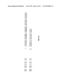 TREATMENT AND PROPHYLAXIS OF AMYLOIDOSIS diagram and image