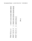 TREATMENT AND PROPHYLAXIS OF AMYLOIDOSIS diagram and image