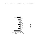 TREATMENT AND PROPHYLAXIS OF AMYLOIDOSIS diagram and image