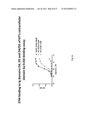 ANTI-KIT ANTIBODIES AND USES THEREOF diagram and image