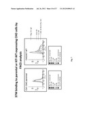 ANTI-KIT ANTIBODIES AND USES THEREOF diagram and image