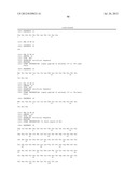 ANTI-KIT ANTIBODIES AND USES THEREOF diagram and image