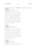 ANTI-KIT ANTIBODIES AND USES THEREOF diagram and image