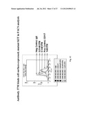 ANTI-KIT ANTIBODIES AND USES THEREOF diagram and image