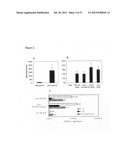 Compositions and methods to treat and control tumors diagram and image