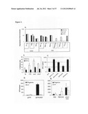 Compositions and methods to treat and control tumors diagram and image