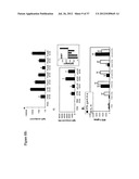 Compositions and methods to treat and control tumors diagram and image