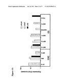 Compositions and methods to treat and control tumors diagram and image