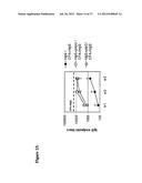 Compositions and methods to treat and control tumors diagram and image