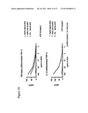 Compositions and methods to treat and control tumors diagram and image