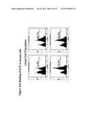 Compositions and methods to treat and control tumors diagram and image