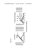 Compositions and methods to treat and control tumors diagram and image