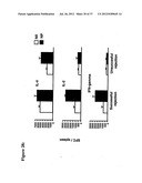 Compositions and methods to treat and control tumors diagram and image