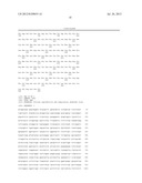 Attenuated Live Vaccine for Prevention of Porcine Reproductive and     Respiratory Syndrome diagram and image