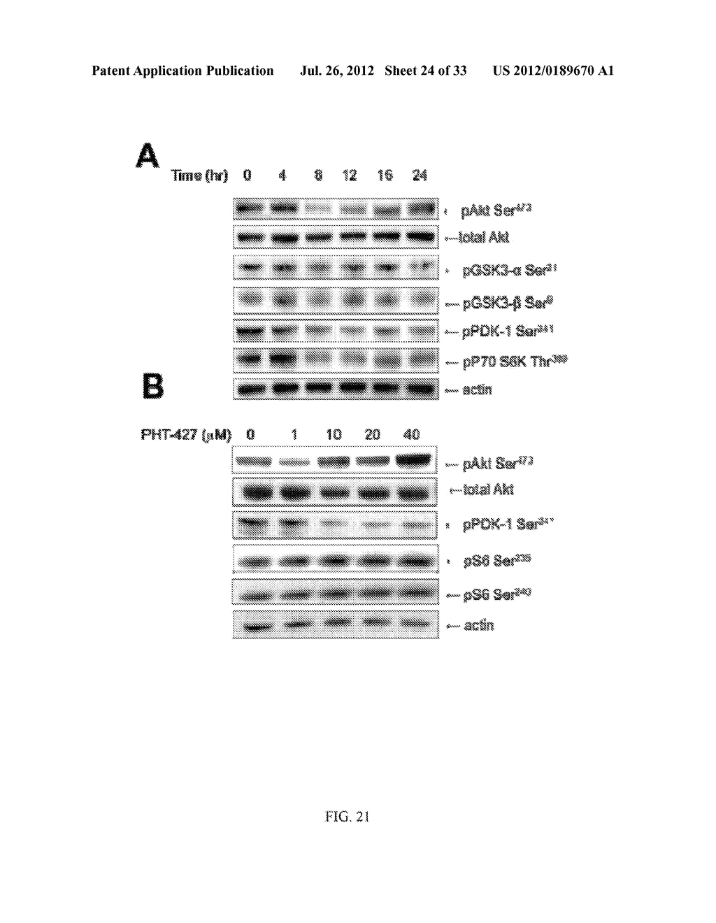 PHARMACEUTICAL COMPOSITIONS AND FORMULATIONS INCLUDING INHIBITORS OF THE     PLECKSTRIN HOMOLOGY DOMAIN AND METHODS FOR USING SAME - diagram, schematic, and image 25