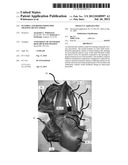 FLEXIBLE AND RIGID ENDOSCOPIC TRAINING DEVICE (FRED) diagram and image