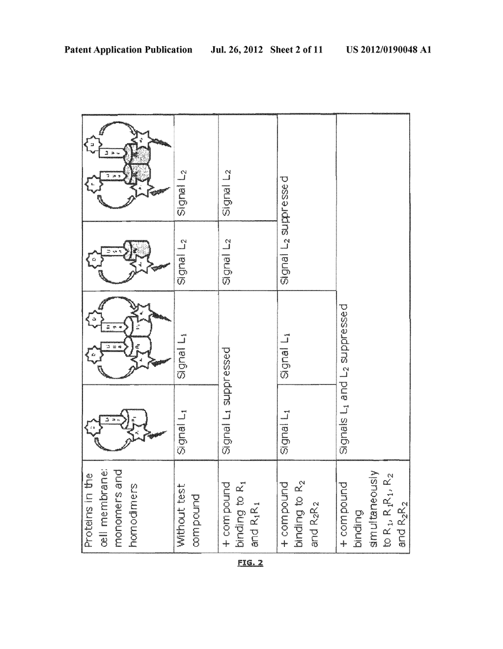 METHOD FOR DETERMINING THE BINDING OF A GIVEN COMPOUND TO A MEMBRANE     RECEPTOR - diagram, schematic, and image 03