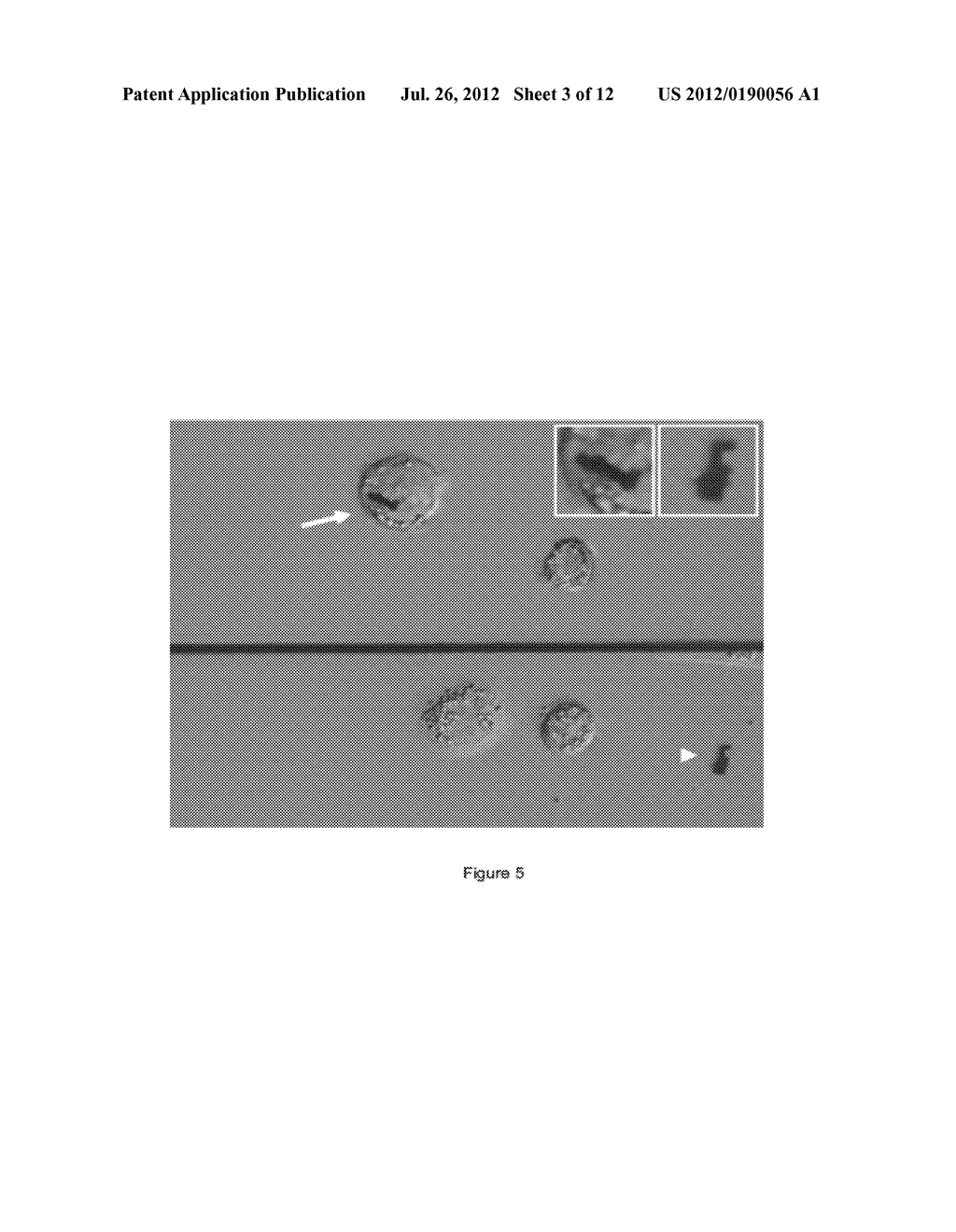 Encoded Microparticles - diagram, schematic, and image 04