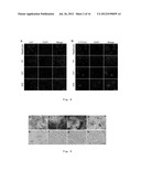 METHODS FOR OBTAINING HEPATOCYTES, HEPATIC ENDODERM CELLS AND HEPATIC     PROGENITOR CELLS BY INDUCED DIFFERENTIATION diagram and image