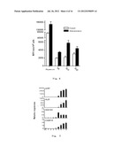 METHODS FOR OBTAINING HEPATOCYTES, HEPATIC ENDODERM CELLS AND HEPATIC     PROGENITOR CELLS BY INDUCED DIFFERENTIATION diagram and image