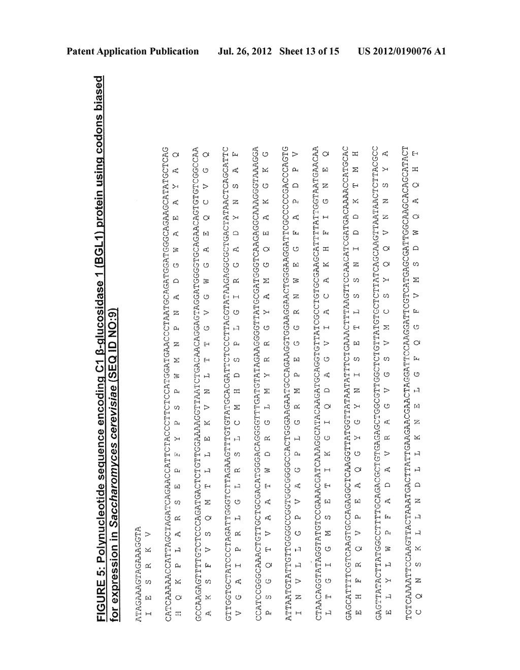 RECOMBINANT C1 BETA-GLUCOSIDASE FOR PRODUCTION OF SUGARS FROM CELLULOSIC     BIOMASS - diagram, schematic, and image 14